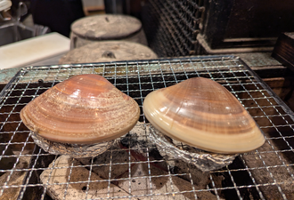 大きいハマグリ