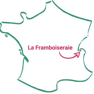 Framboiseraie ballaison Haute-Savoie