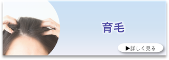 有用性評価 | 化粧品評価 受託 - 皮膚の評価 ニコダームリサーチ