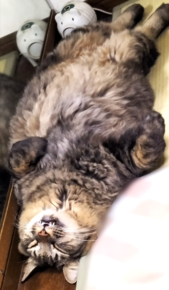 塾長　もんもん