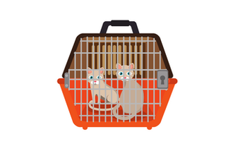 Guacal para transportar gatos