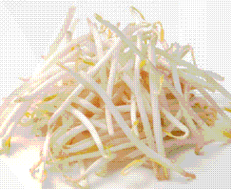 発芽野菜のもやし(by Fuji natural foods)