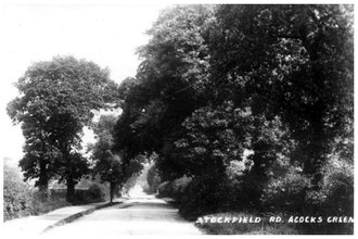 Stockfield Road 1905