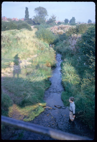 Bourn Brook at Bottetort Road photographed by Phyllis Nicklin in 1962 via Keith Berry. (Note the photographer's shadow.)