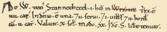 Witton's entry in the Domesday Book from Open Domesday. See Acknowledgements for a link to that website.