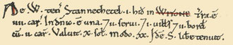 Witton's entry in the Domesday Book from Open Domesday. 