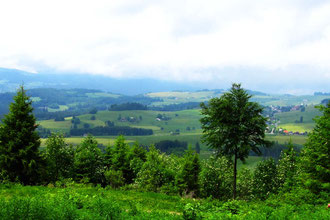Blick von der gemütlichen Ruhebank auf Breitnau.