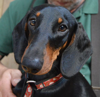 Charisma vom Jarnwith