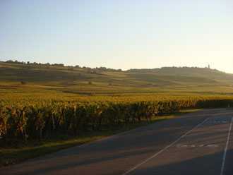 Hill 351 view from Kientzheim