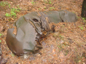 150 gallon drop tank of the P-47 still laying in the woods