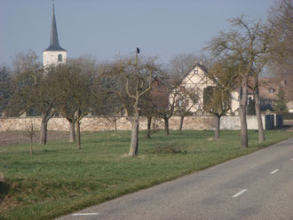 View of the Cemetery of Jebsheim from the Rue Artzenheim