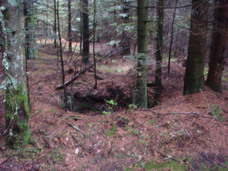 Foxholes within the Lost Battalion defense perimeter