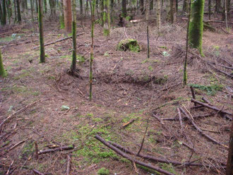 Foxholes still visible