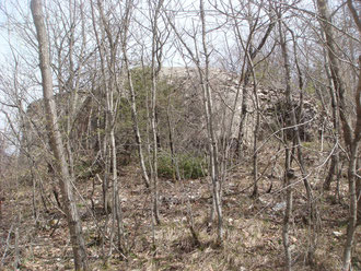 The Panna Bunker was either for an 105 or a Pak 40 75mm gun. It was covering the road to Santa Lucia and was able to cover in direction Montecarelli