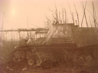 Knocked out Nashorn at Erlen near Illhäusern (Photo courtesy Karl-Heinz Münch - History of schw. Pz.Jg.Abt 654)