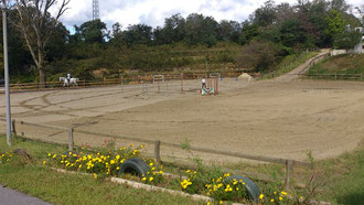 競技馬場