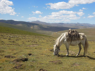 Vast Tibetan grassland at 4'000 to 4'500m