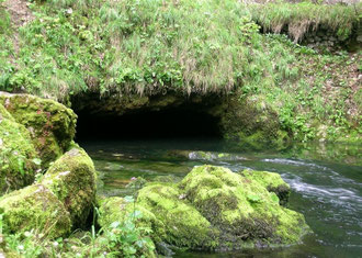 La source de L'Orbe