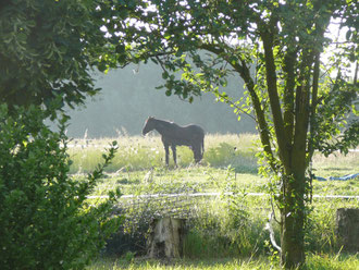 'environnement nature et randonnée gîte rural Saint Quentin Aisne Laon Noyon Compiegne Peronne