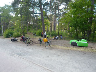 Gelebte Soziale Distanz im Wald bei Sandkrug.