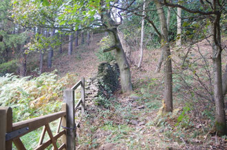 photograph of a gate and stone wall in Gillfield Wood