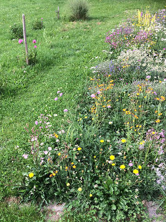Wildblumenmatte fertig