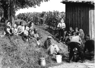 Jung und Alt bei der Weinlese gibt es heute nicht mehr.