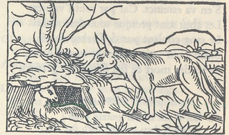 Wolf und Schaf, geheuchelte Liebe. Sinnbildkunst des 15. / 16. Jahrhunderts