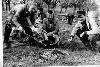 Beim Herbsten 1965, eines von über 80 Bildern der Ostermontag-Ausstellung in Derdingen.