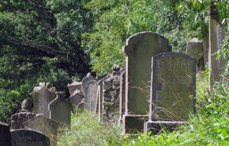 Die Grabsteine auf dem Flehinger jüdischen Verbandsfriedhof sind nicht immer leicht zu fotografieren. Wer kann helfen?
