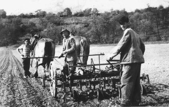 Herbert Berger mit Zöglingen vom Erziehungsheim 1959 beim Grubbern an der alten Gochsheimer Straße.