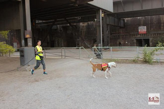 Ich und Smuve beim Training - Suchhundezentrum K9. 201