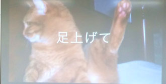 ☆足上げて