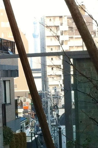 不鮮明ですが正面建物の左に東京スカイツリーがぼんやりと見えます