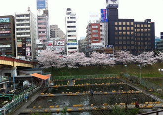★お断り。写真は無関係です。市ヶ谷駅のホームからの釣り堀風景です。