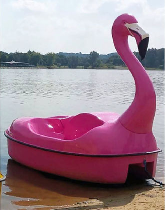 Flamingo Tretboot bis zu 3 Personen