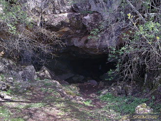 Замаскированный растительностью вход в пещеру