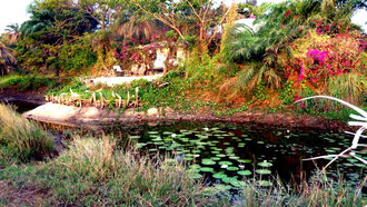 Blick auf die kleine Veranda-Atelier Djignaba Abene, Senegal