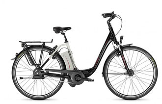 Raleigh Impulse Ergo
