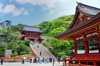 鎌倉、鶴岡八幡宮