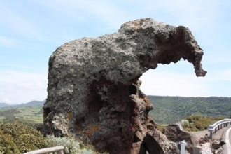 L'Elefante