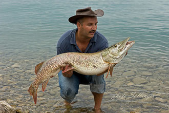 125cm Hecht beim Schleppfischen am Attersee gefangen