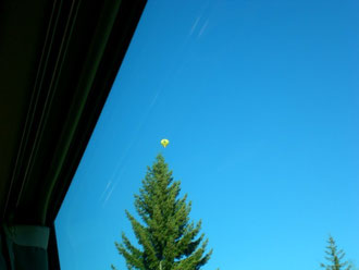 木の上に　気球が