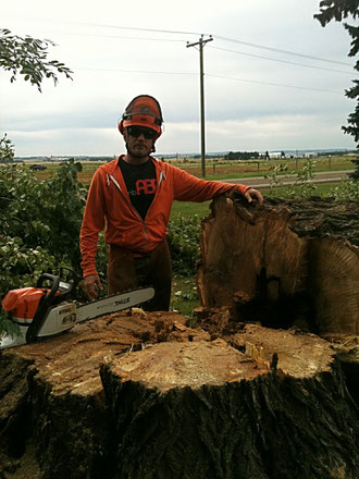 Jonathon with large poplar stump