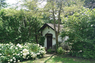 アナベルが咲き乱れるイゾルデのお庭