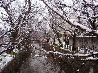 玉串川の冬