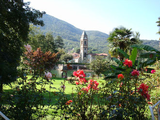 Fonte dei Fiori TI