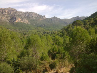 VALL DE LA MURTA