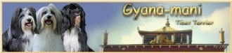 Befreundeter Zwinger "Gyana-mani"
