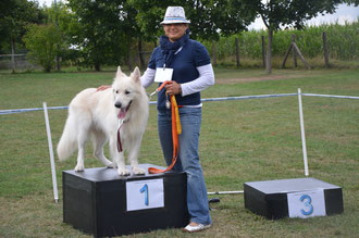 Nigel of White Ivory